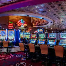 suncity7